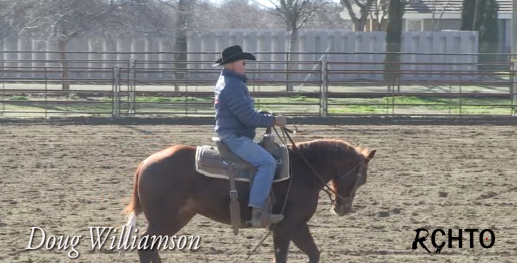 Doug Williamson Reined Cow Horse Training Online RCHTO