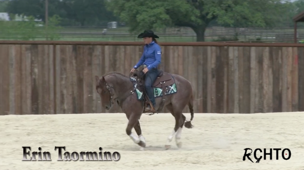Lead Departures And Lead Changes With Erin Taormino Reined Cow Horse