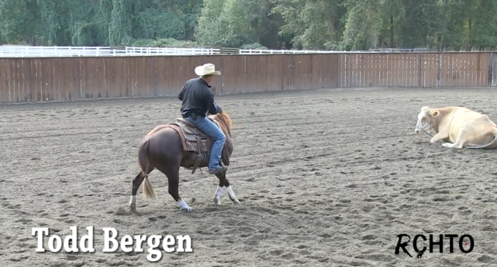 A Great Exercise To Improve Your HerdWork Turn With Todd Bergen