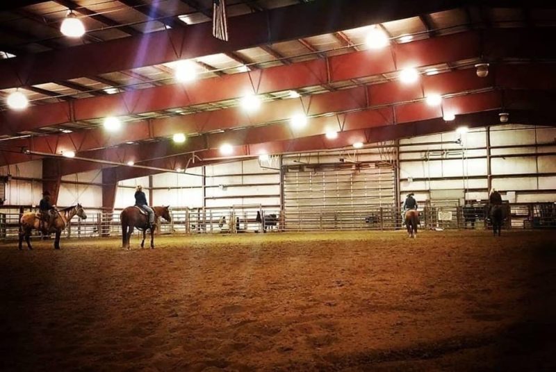 Cow Horse Trainers Coming To A College Near You...? Reined Cow Horse