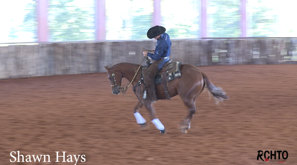 The Key To Schooling A TwoRein Horse! Reined Cow Horse Training