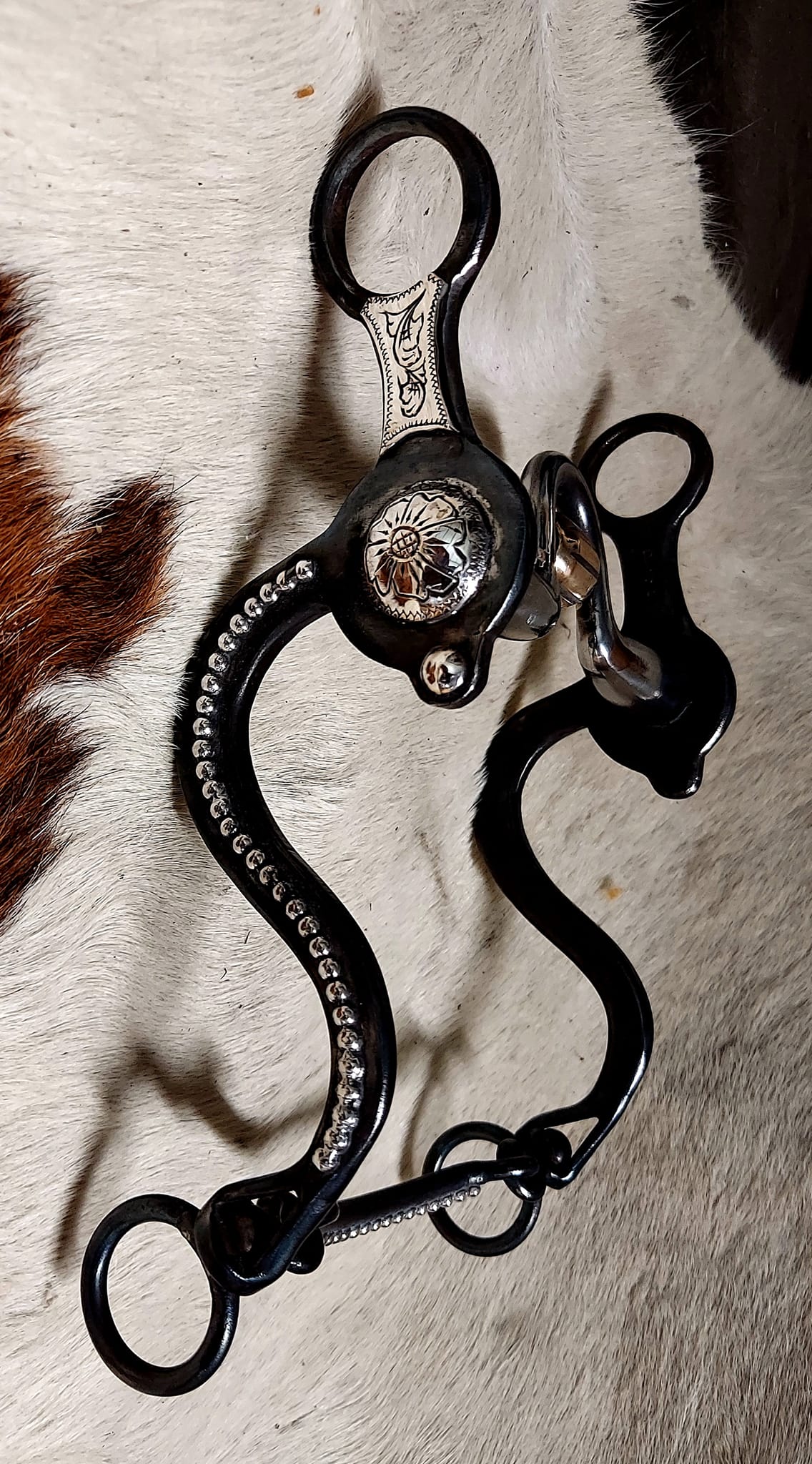 Bit By Bit The Two Rein And Bridle Progression With Phillip Ralls And bit-by-bit-the-two-rein-and-bridle-progression-with-phillip-ralls-and