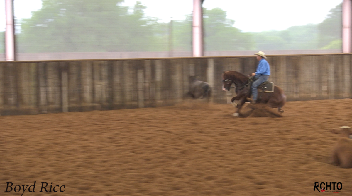 Cow Work - Reined Cow Horse Training Online - RCHTO
