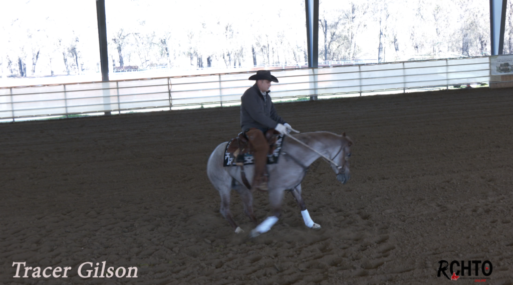 How To Tune Your Show Horse Rein Work Turn With Tracer Gilson. Reined
