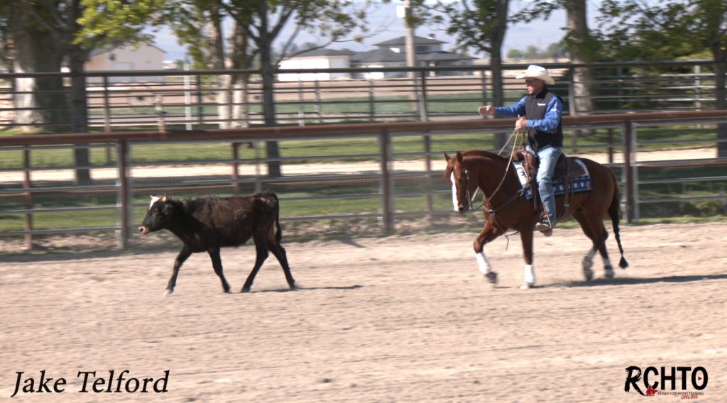 How To School A Bridle Horse That Anticipates The Fence Turn! - Reined ...